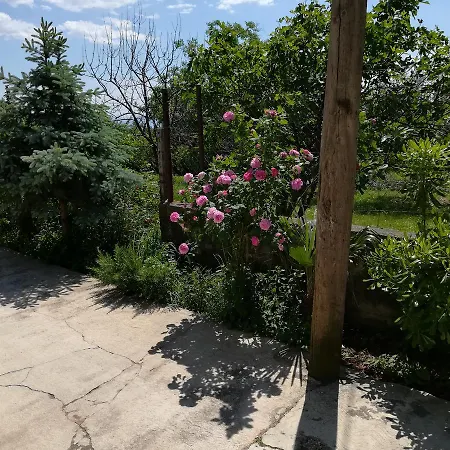 Mis Floura Lejlighed *