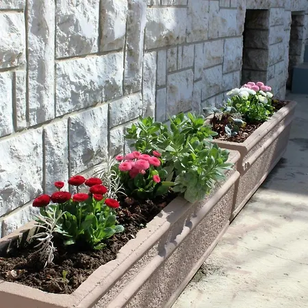 Lejlighed Mis Floura *