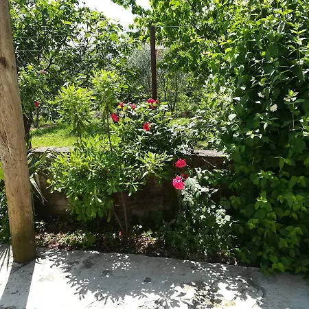 Apartment Mis Floura *